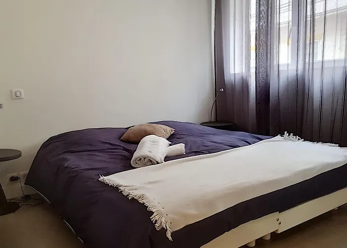 Sublime Apartment Center Croisette Live In Moliere